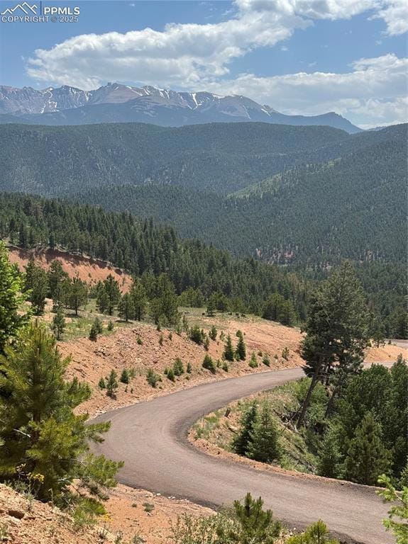 View of mountain background with a heavily wooded area