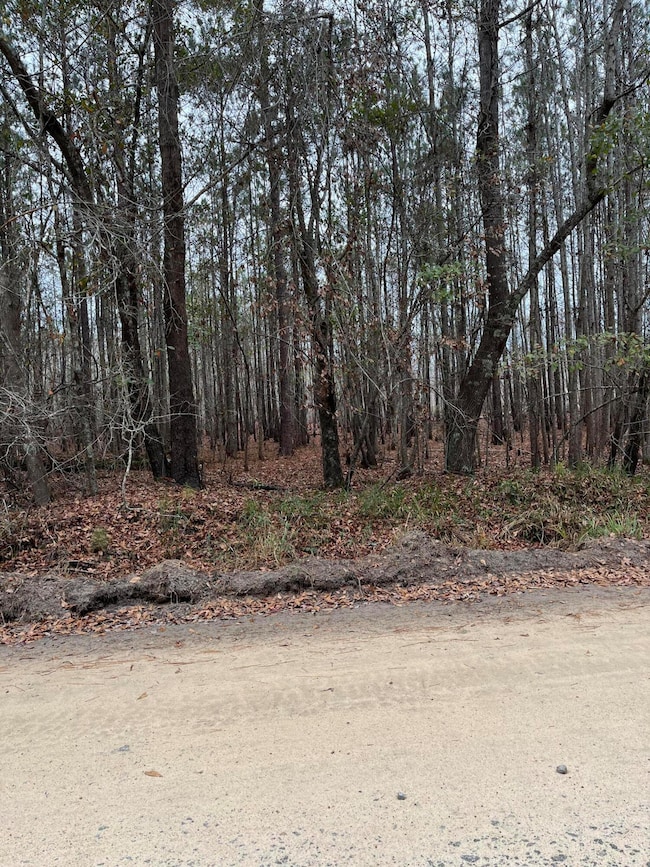 00 Ryn St, Cope, SC 29038 - photo 6