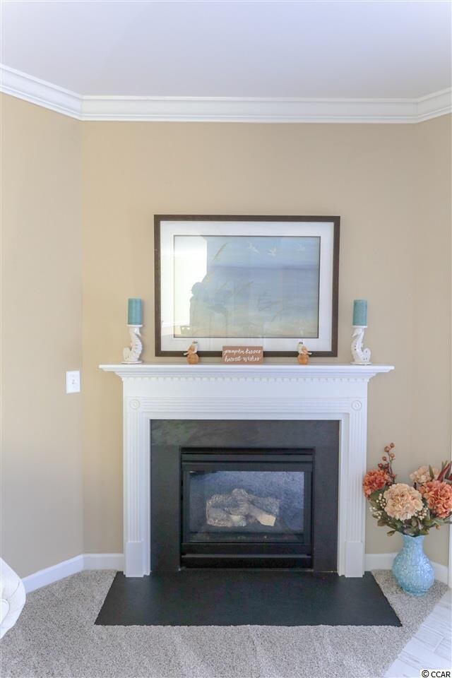 904 Looking Glass Ct, Conway, SC 29526 - photo 6