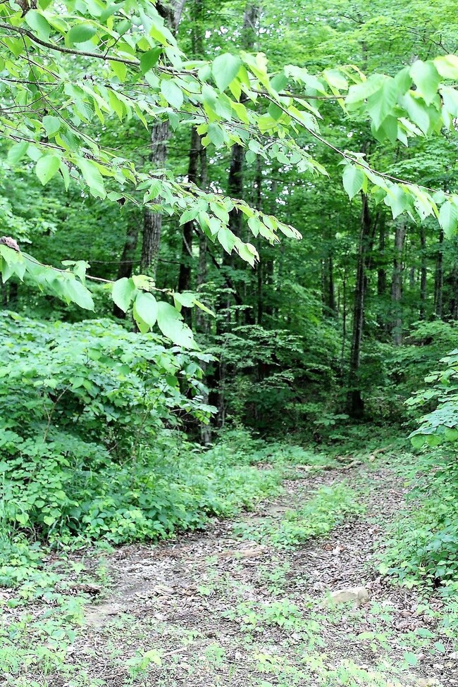 0 Old Mill Creek Rd, Monterey, TN 38574 - photo 5