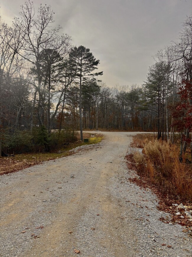 0 Summerfield Rd unit RTC3056689, Monteagle, TN 37356 - photo 4