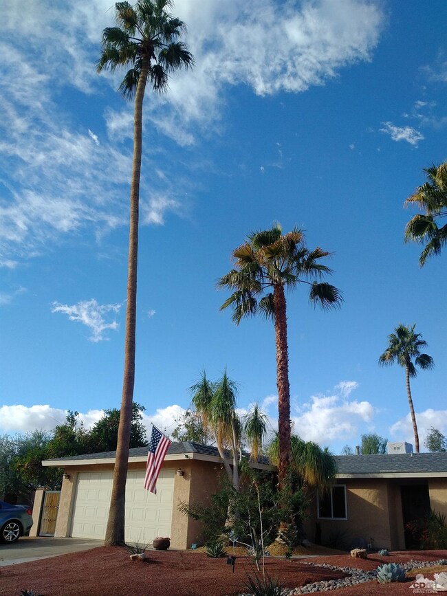 Additional Photo