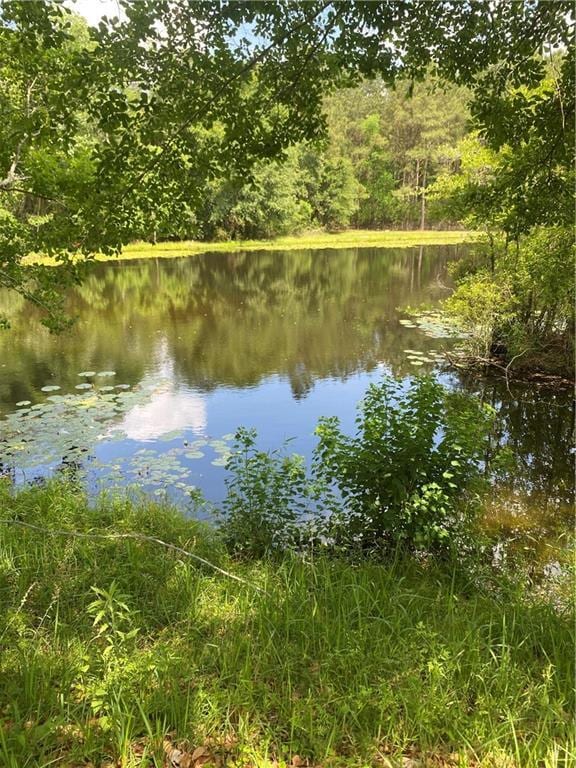 Water view featuring a heavily wooded area