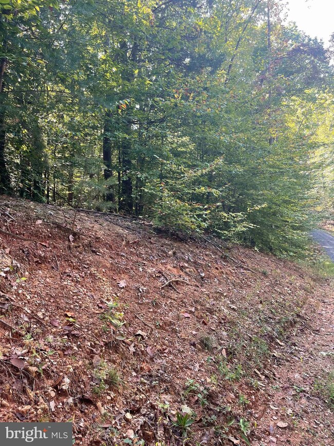 0 Beaver Creek Ct unit VACU2006274, Lignum, VA 22726 - photo 3