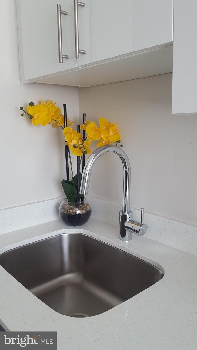 104 W North Ln unit B2, Conshohocken, PA 19428 - photo 6