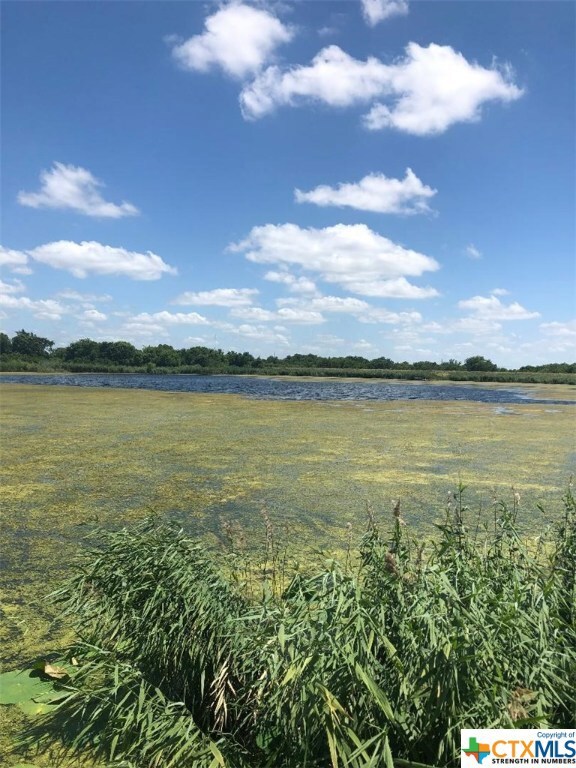 5185 Lower Troy, Temple, TX 76501 - photo 4