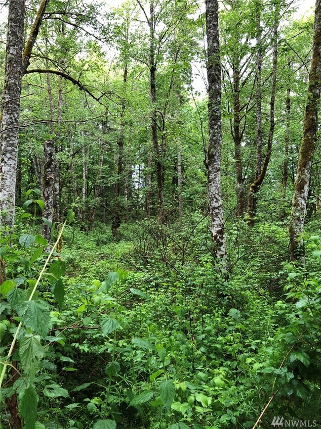 0 Orville Rd E unit 1602213, Orting, WA 98360 - photo 4