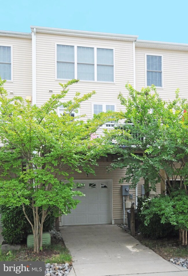 42597 Pine Forest Dr, Chantilly, VA 20152 - photo 2