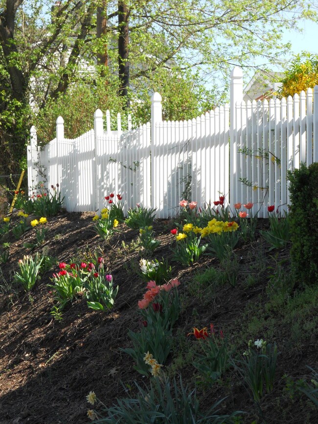 springflowers