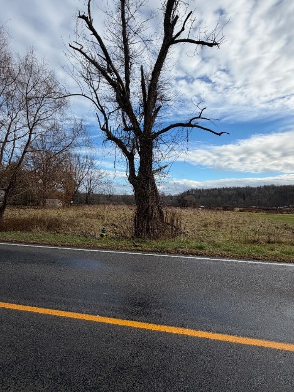 0 Hall Center Rd unit R1652033, Marion, NY 14505 - photo 3