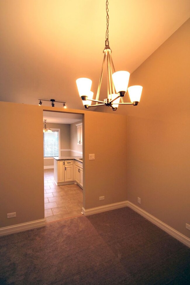 1711 Chesapeake Ln unit 4, Schaumburg, IL 60193 - photo 4