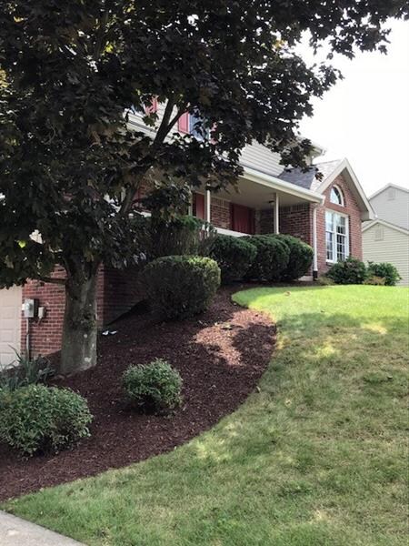 Side Yard Newly Landscaped