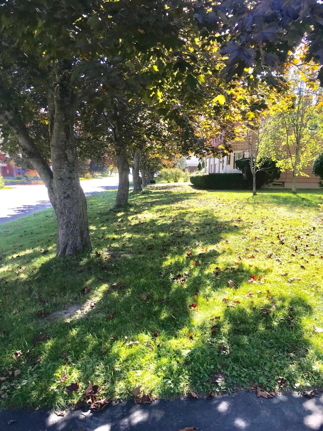 11 Novella St, Lewiston, ME 04240 - photo 6