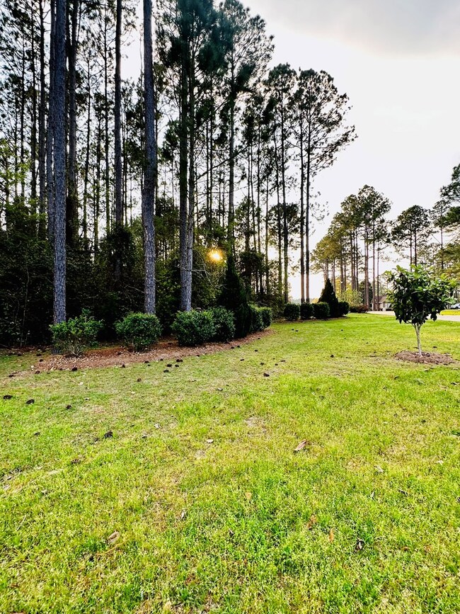 00 Berry Dr, Broxton, GA 31519 - photo 5