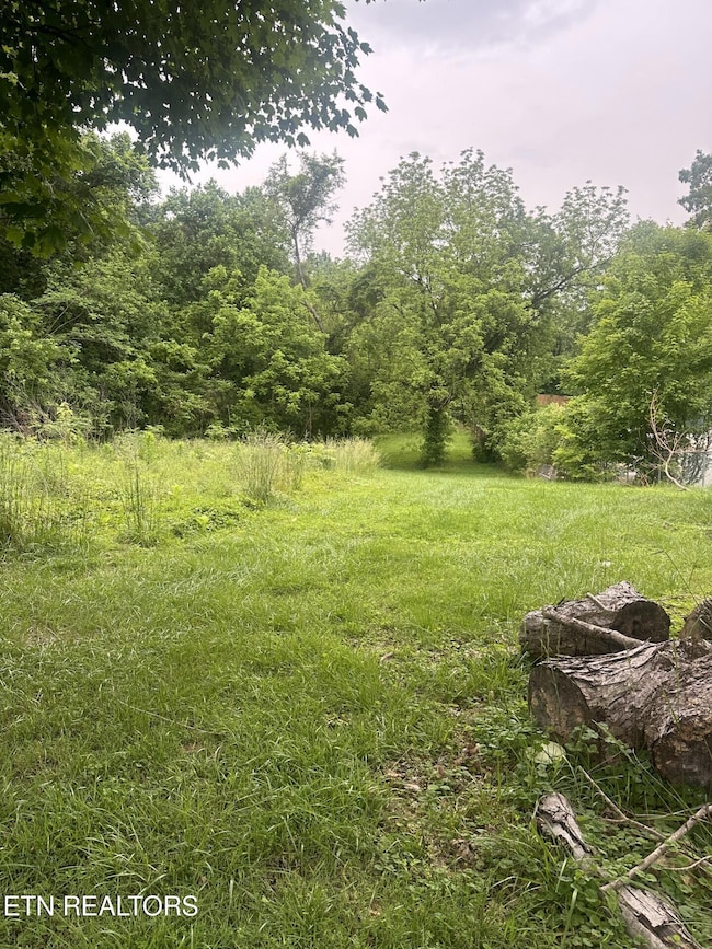Spring Hill Lot 3