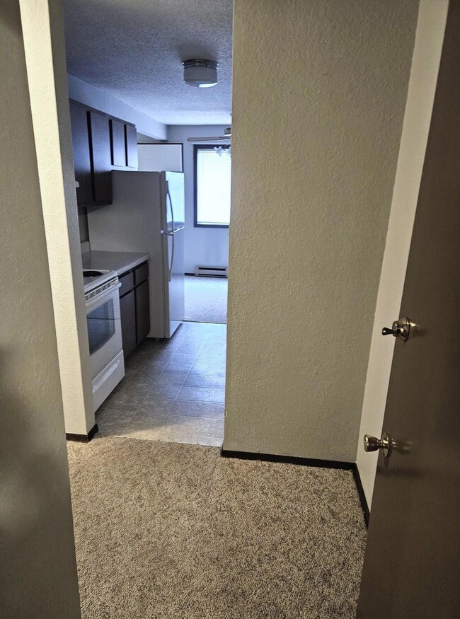 Entrance and Kitchen