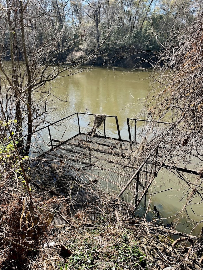 2325 Radium Springs Rd, Albany, GA 31705 - photo 4