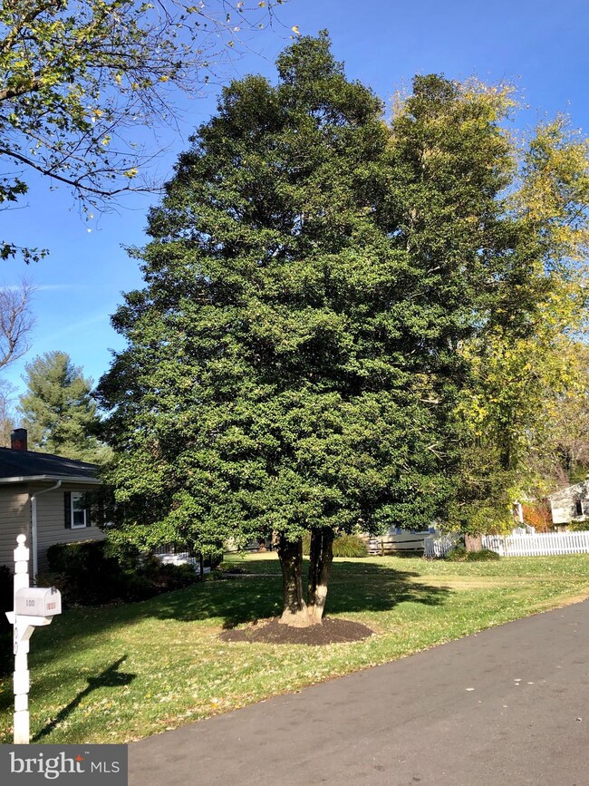 100 Sycamore St, Middleburg, VA 20117 - photo 4