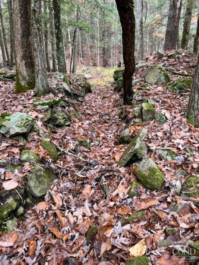 91 Laurie Ln, Cairo, NY 12058 - photo 7