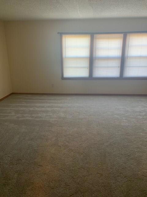 305 N Trinity St, Decatur, TX 76234 - photo 3