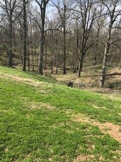 16753 Harmon Rd, Fayetteville, AR 72704 - photo 4