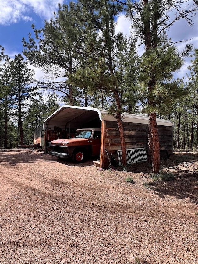 434 Blue Mountain Dr, Florissant, CO 80816 - photo 4