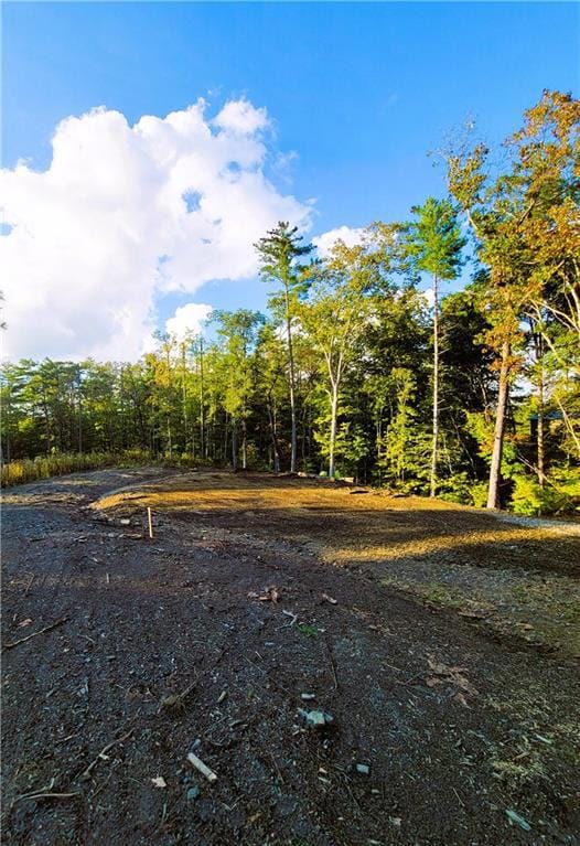 TR 2 Old Northcutt Rd, Ellijay, GA 30540 - photo 5