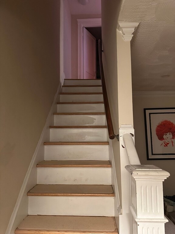 24 Potomac St unit 1, West Roxbury, MA 02132 - photo 5