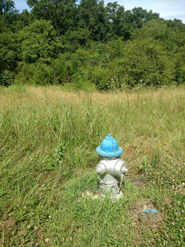 Septic Tank