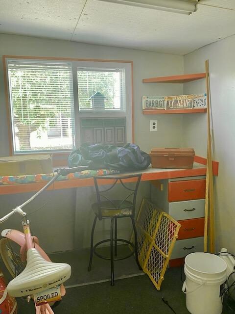 She shed/Man Cave