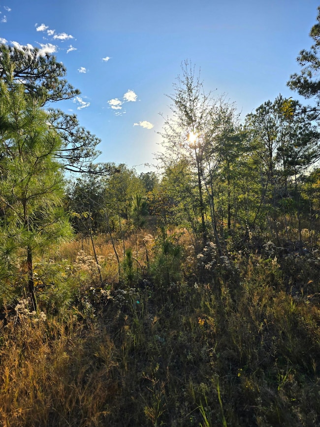 Tbd Hamilton Branch Way, Aiken, SC 29803 - photo 3