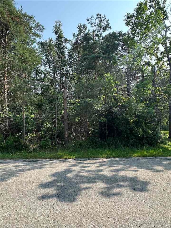 TBD Sheridan, Petoskey, MI 49770 - photo 2