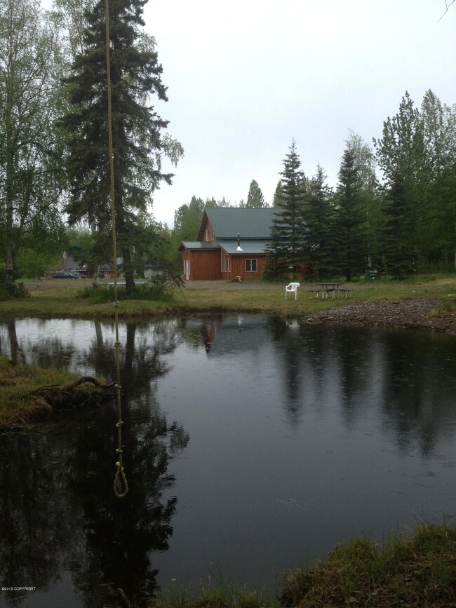 The Pond