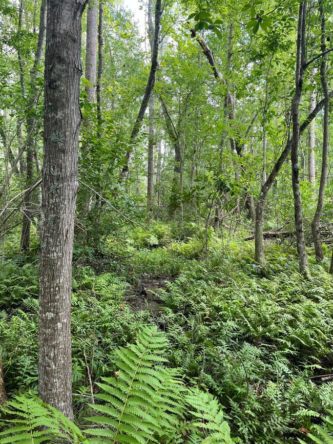 BFF 5 Brunson Teal Rd unit BFF 5, Chester, SC 29584 - photo 4