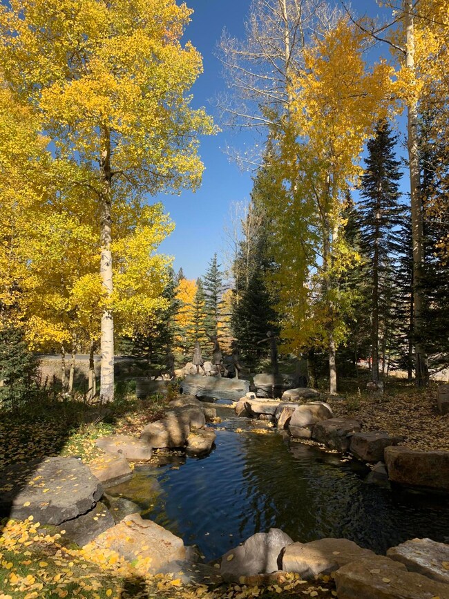 Fall Garden View