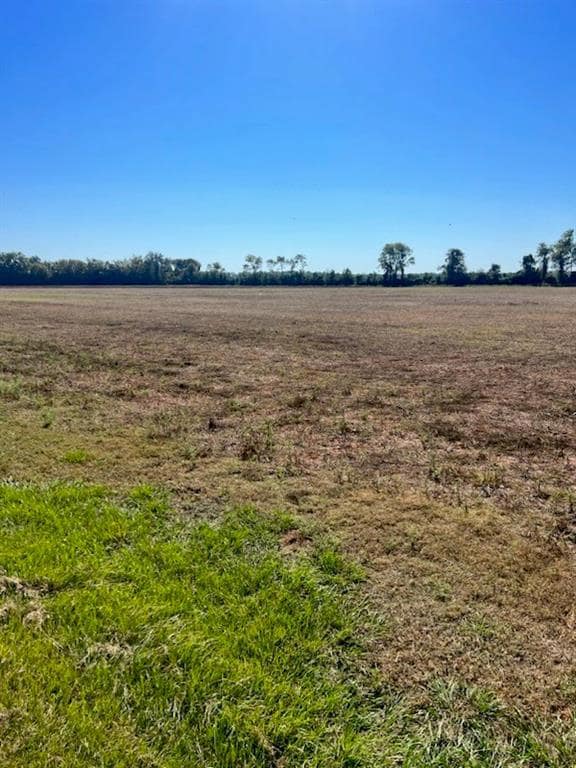 TBD Hwy 115 W Hwy, Bunkie, LA 71322 - photo 3