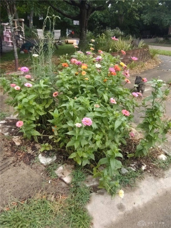 1109 Sundance Dr, Miamisburg, OH 45342 - photo 6