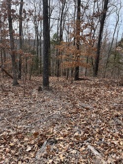 0 Pickering Dr unit 1266766, Bella Vista, AR 72714 - photo 4