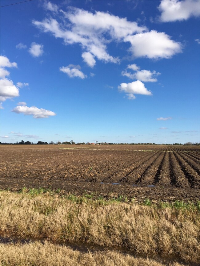 Tract C Boone Rd, Needville, TX 77461 - photo 2