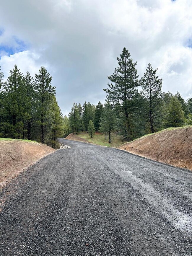 27 Sawtooth Loop unit Lot 23, Cascade, ID 83611 - photo 3