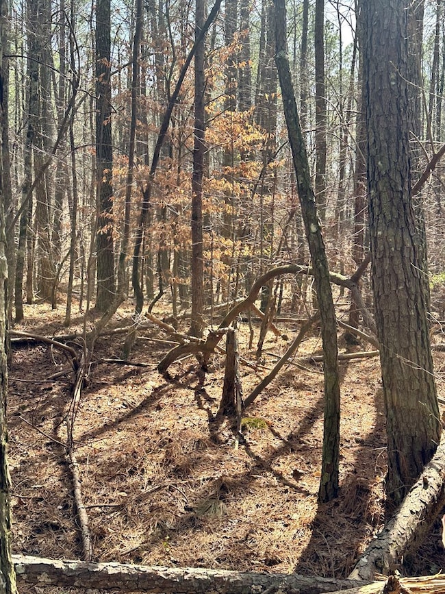 0 Autry Rd SW unit 414481, Plainville, GA 30733 - photo 2