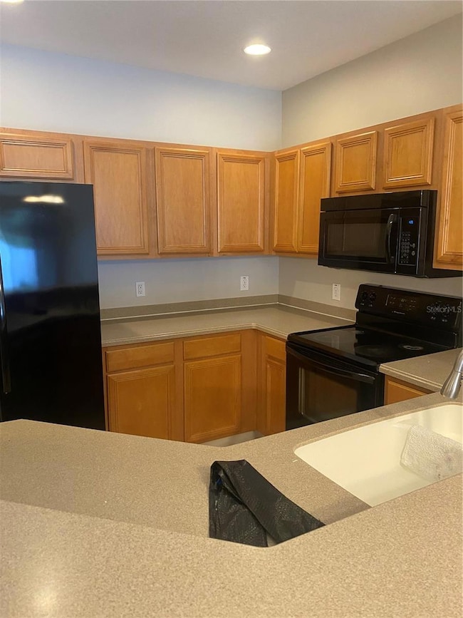 20406 Needletree Dr unit 20406, Tampa, FL 33647 - photo 3