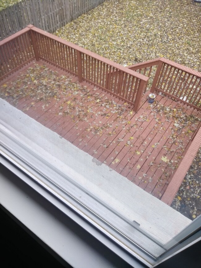 925 Manchester Ave, Westchester, IL 60154 - photo 6