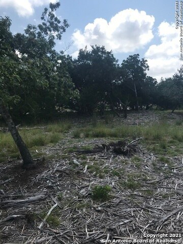 27206 Bent Trail, Fair Oaks, TX 78006 - photo 3