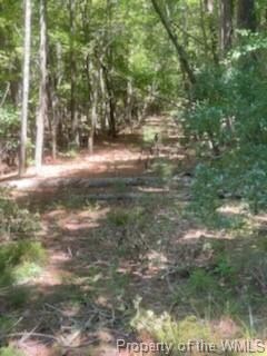 00 Line Fence Rd, York, VA 23072 - photo 4