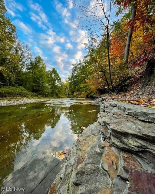 V/L Dock Rd, Madison, OH 44057 - photo 3