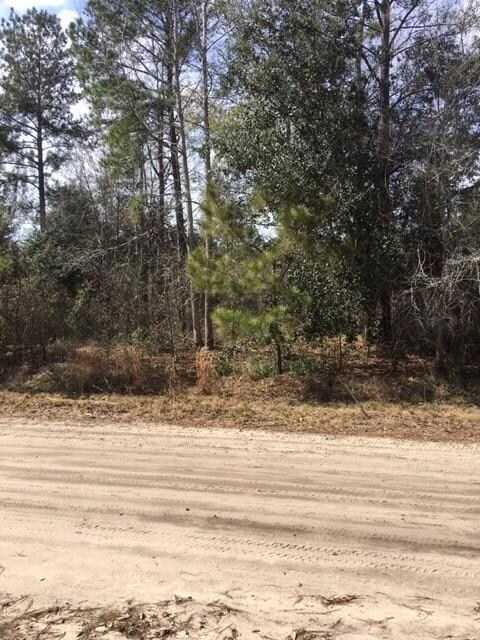 Lot 115 Colonial Coast Cir, Townsend, GA 31331 - photo 2