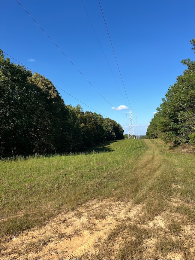 0 Allens Creek Rd unit RTC3007283, Hohenwald, TN 38462 - photo 3