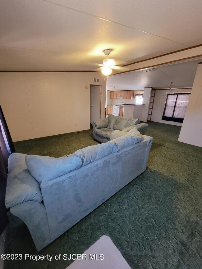 7 Road 3959, Farmington, NM 87401 - photo 4