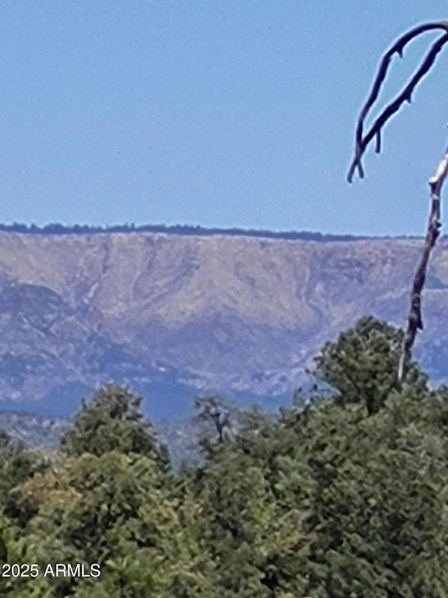 View1